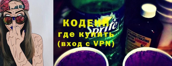 шишки Елизово