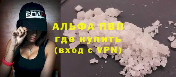 стафф Осинники