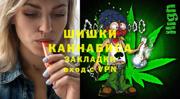 стафф Осинники