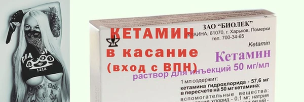 стафф Осинники