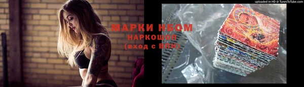 шишки Елизово
