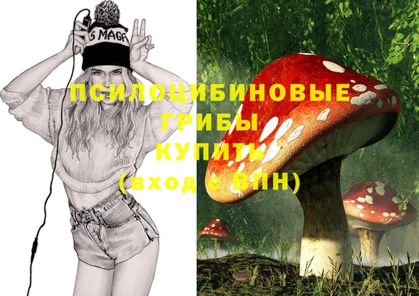 трава Елабуга