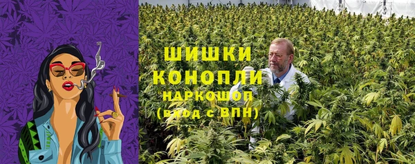 стафф Осинники