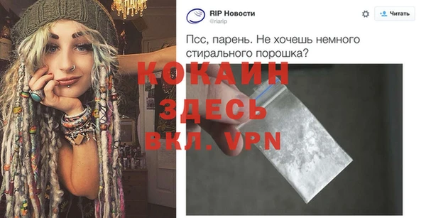 шишки Елизово