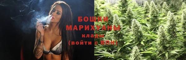 шишки Елизово