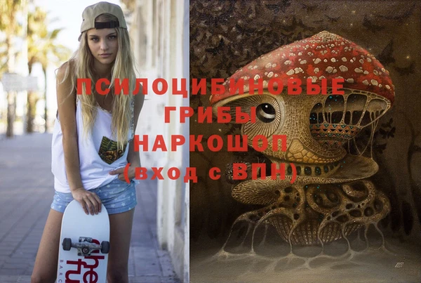 шишки Елизово