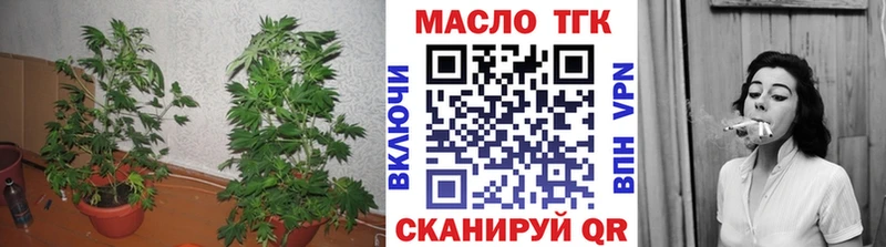 наркота  Сольвычегодск  ТГК вейп с тгк 