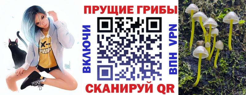 Псилоцибиновые грибы Cubensis  blacksprut ССЫЛКА  Сольвычегодск 